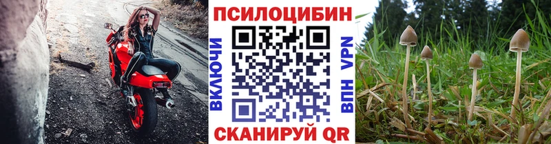 Галлюциногенные грибы GOLDEN TEACHER  где купить наркоту  Карачев 