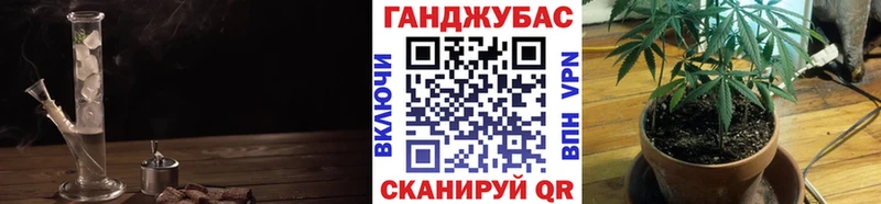 где купить   Карачев  мориарти какой сайт  Канабис White Widow  OMG ссылка 